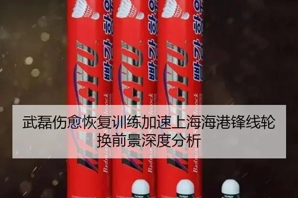 武磊伤愈恢复训练加速上海海港锋线轮换前景深度分析